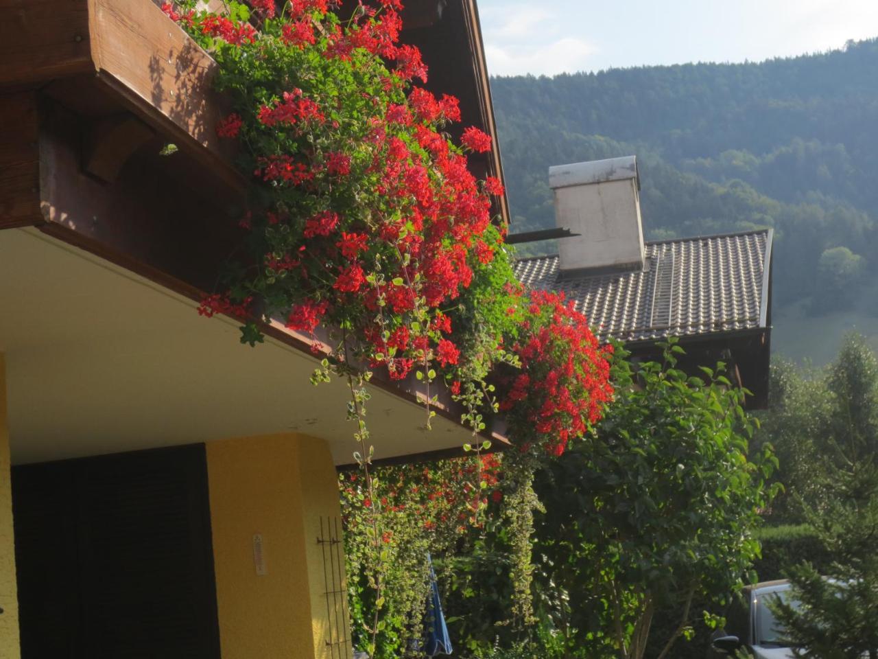 Hotel Alp Inn - Chiemgaukarte Inclusive ルーポルディング エクステリア 写真